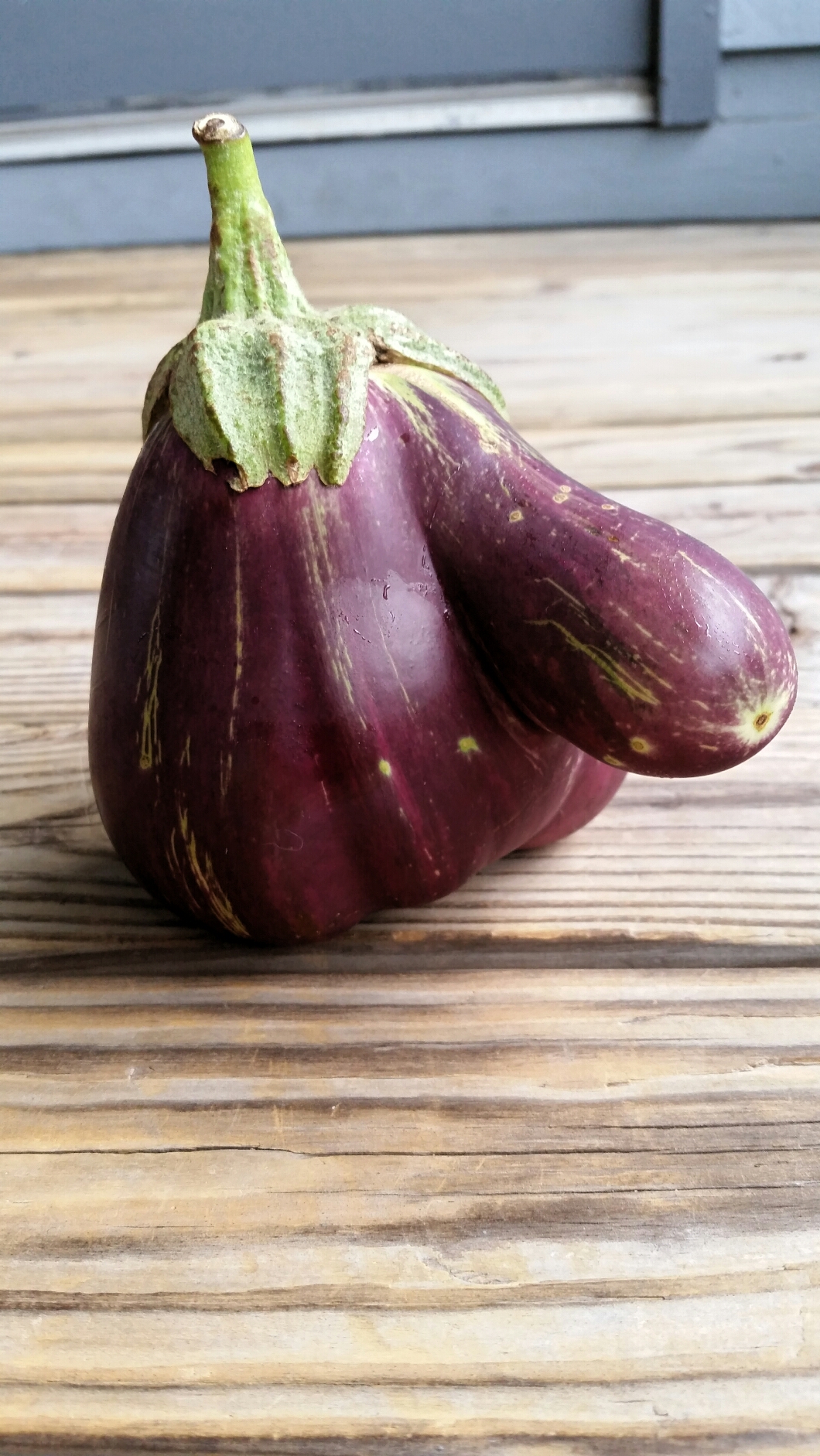 Oddly Shaped Eggplant