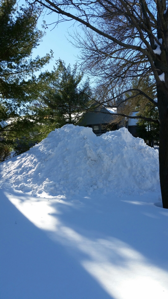 Snow pile and sunshine