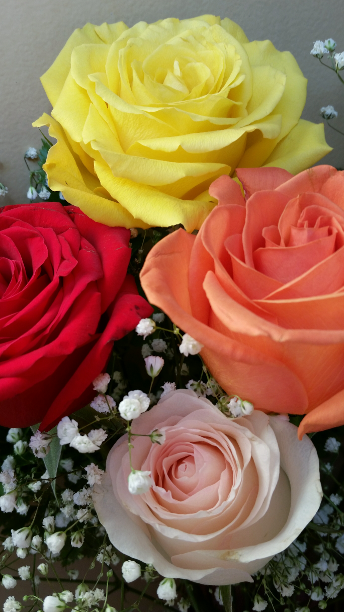 Yellow, red, orange, pale pink roses