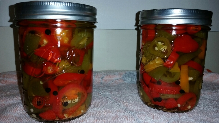 Hot spicy peppers slices and pickled in masn jars